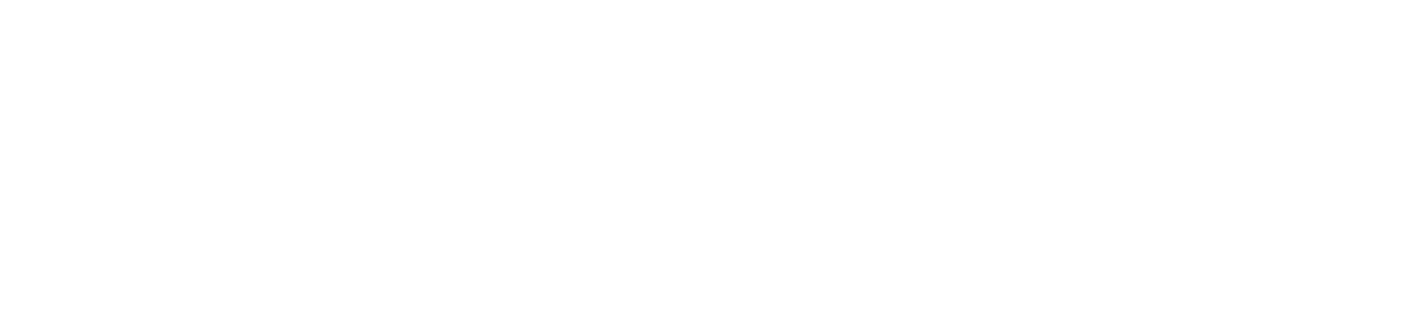 No Brainer Agency - logo (white)