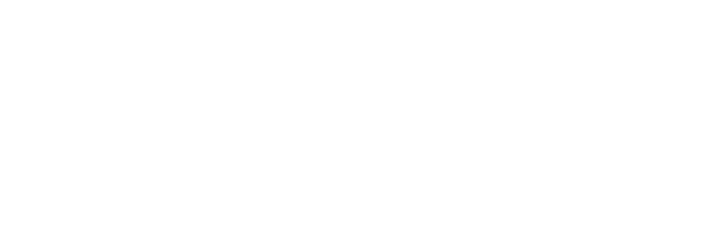 Places for People logo - white